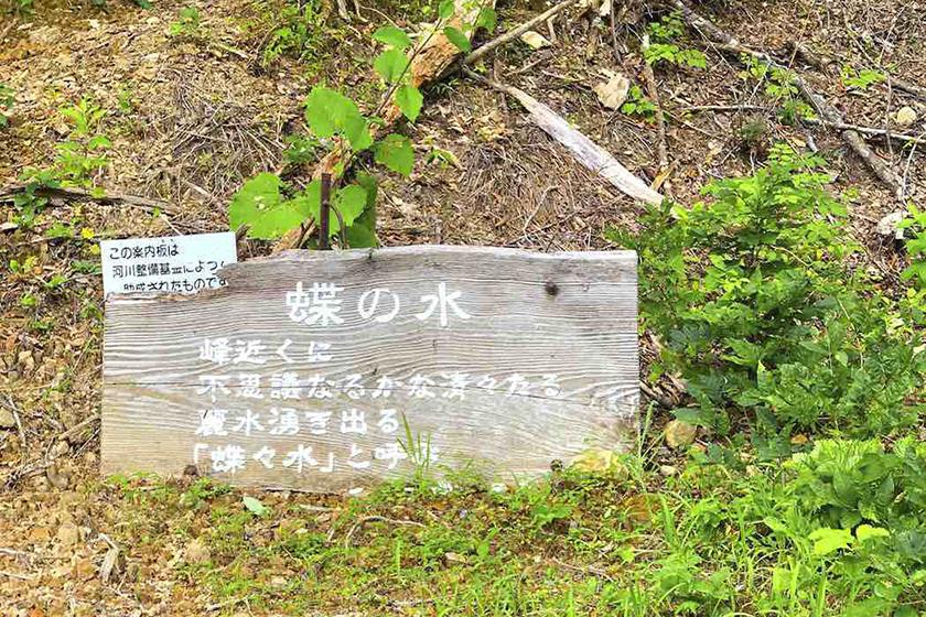 九頭竜川の最初の一滴！源流一番搾りを体験しよう
