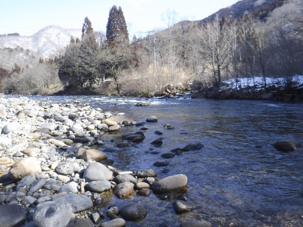 渓流釣り3月1日 日 解禁 奥越漁業協同組合 福井県 大野市